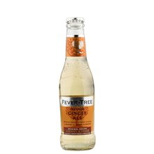 FT Tonic Ginger Ale 200ml