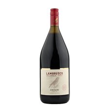 Lambrusco Rosso 1.5L Dellemilia 7.5%