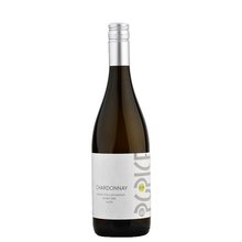 Chardonnay 0.75L p.s.Popice  12.5%