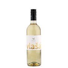 Arte Vini Vlak Ryzlink vlask 0.75L 12,5%