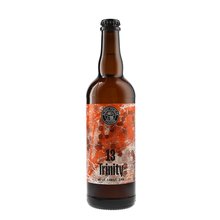 A.Michler 13 Trinity 0,75L West Coast IPA