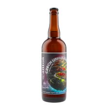 Anto 14 Czech Universe 0,75L Modern IPA