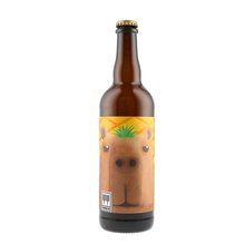 Twinberg 11 Capybara Fruta Catrina Sour 0,75L