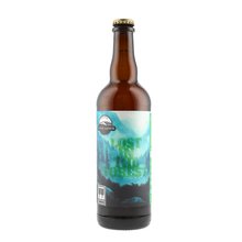 Twinberg 12 Lost in The Forest Farmhouse Ale 0,75L