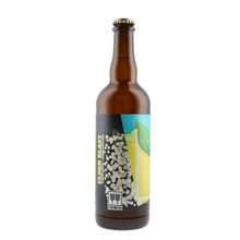 Twinberg 11 Elder Blast 0,75L Sour Ale