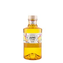June by Gvine Mango &amp; Passion Fruit 0,7L 37.5%