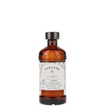 Monin paragon Rue Berry 0.485L