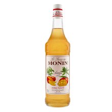Monin Mangue 1L
