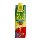 HAPPY DAY BRUSINKA 1L