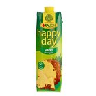Happy Day Ananas 1L