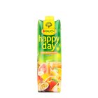 Happy Day Multivitamin 1L 100%