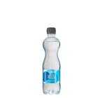 Artzia neperliv 0.5L /12ks/