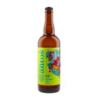 Anto 10 Sunny ALE 0.75L APA