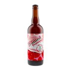 Anto 11 Raspberry SOUR ALE 0,75L