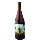 vabn PUK 12 0,75L Jahoda+Guava Sour ALE