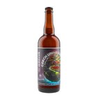 Anto 14 Czech Universe 0,75L Modern IPA