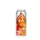Zichovec 12 Sour Mango Passion Fruit 0,5L