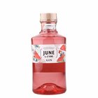 June by Gvine Pasteque 0,7L 37.5%