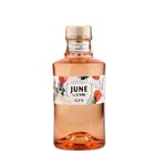 June by GVine Wild Peach 0.7L 37.5%