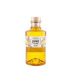 June by Gvine Mango &amp; Passion Fruit 0,7L 37.5%