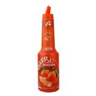 Mixer Mandrin Puree 1L