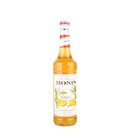 Monin Mango 0.7L